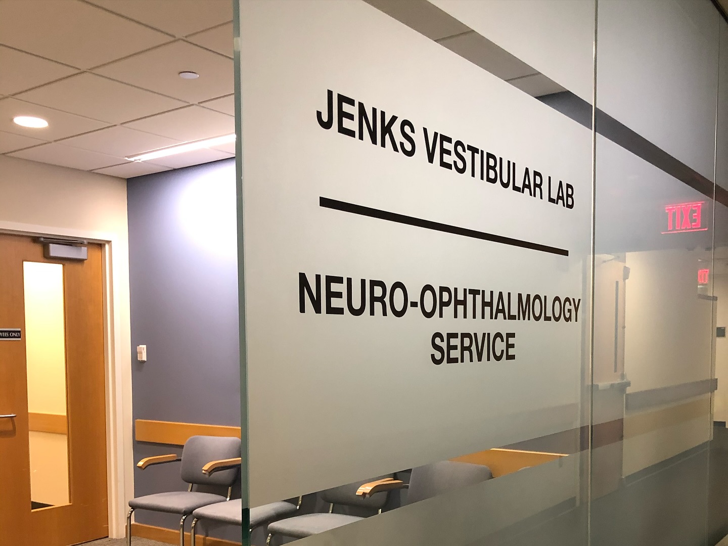 Massachusetts Eye and Ear Hospital - Harvard Medical School, Boston (USA)